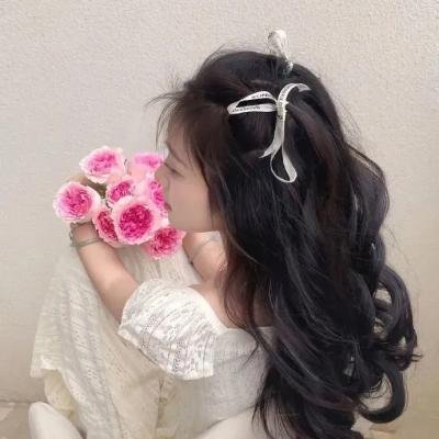 顽皮豹之子
